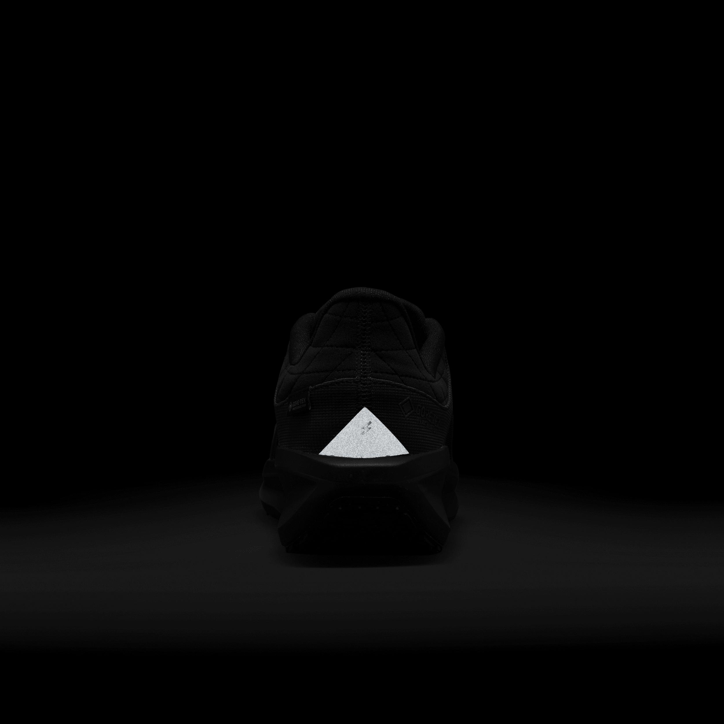 Nike Mens Winflo 11 GORE-TEX Waterproof Road Running Shoes | FQ1358-001 Product Image