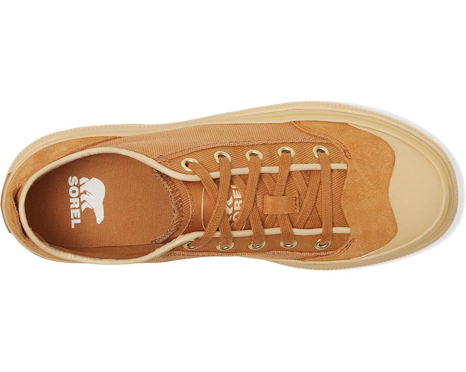 ONA™ AVE Low Sneaker Product Image