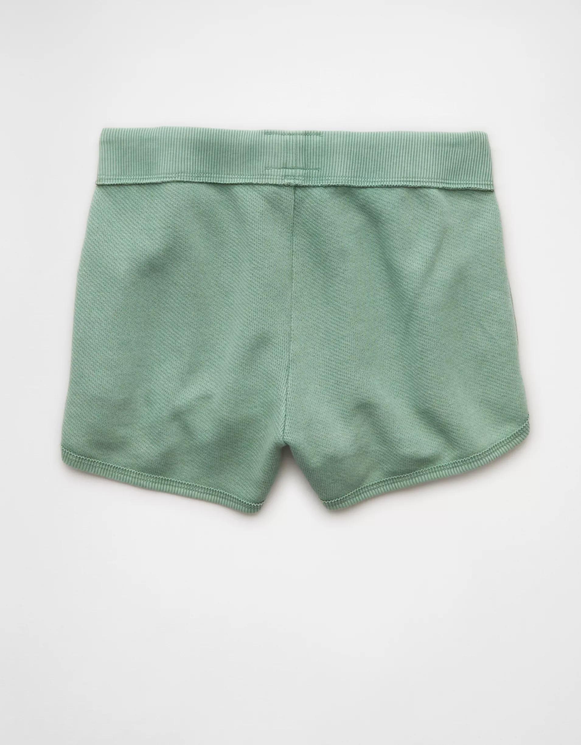 AE Saltwash Fleece Short Product Image