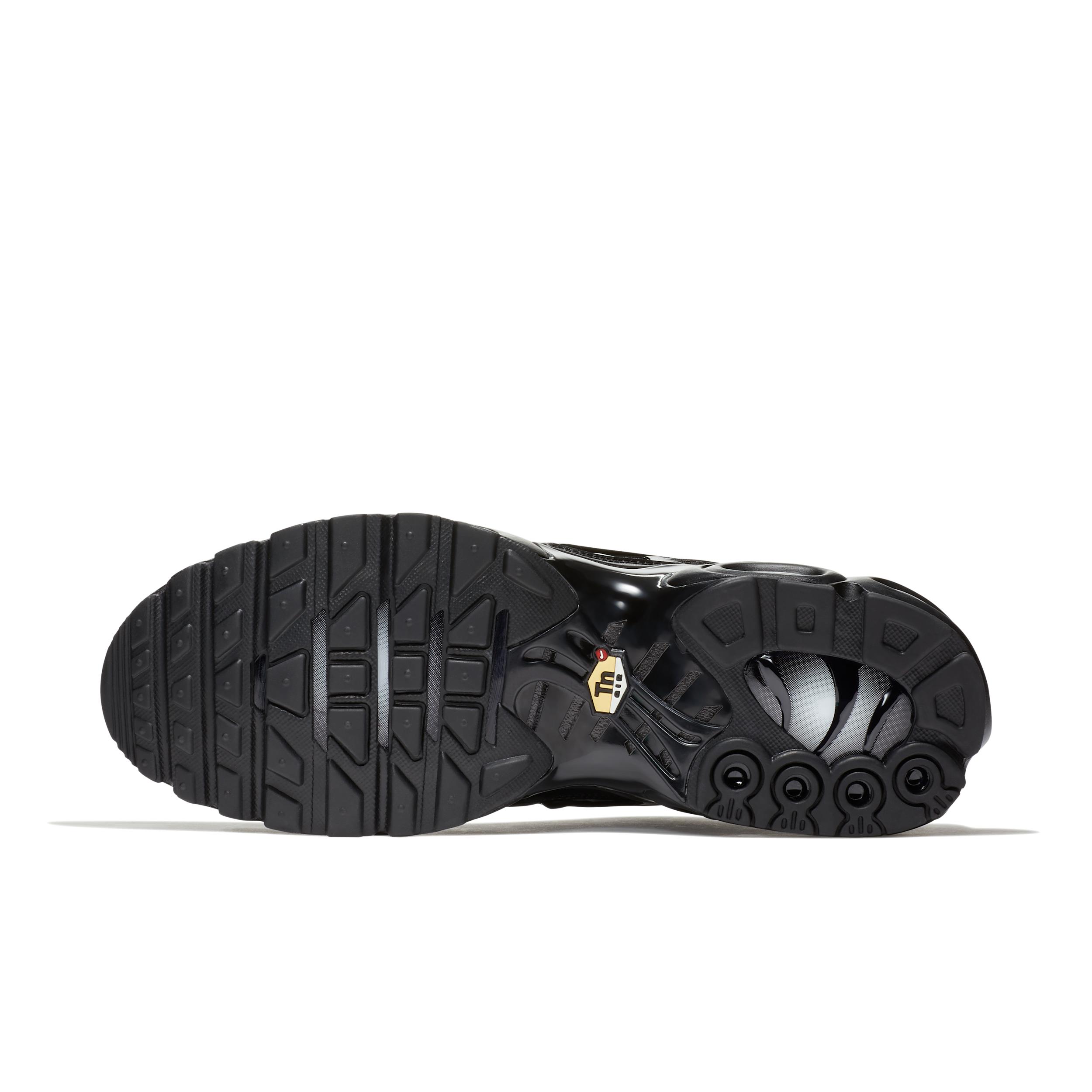 Nike Mens Air Max Plus Shoes | 604133-050 Product Image