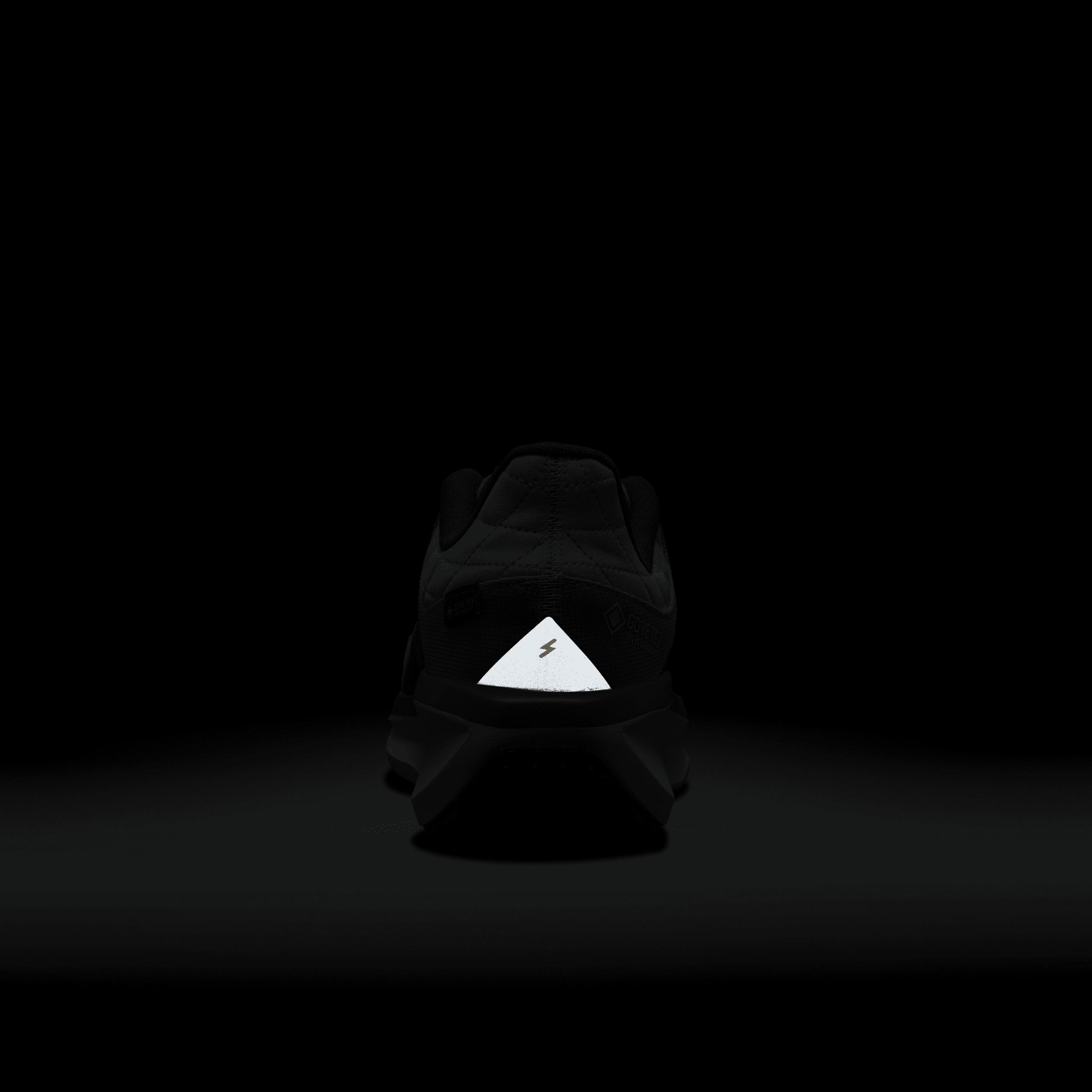 Nike Winflo 11 GORE-TEX Men's Waterproof Road Running Shoes Product Image