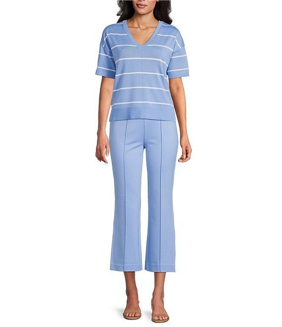 Investments Striped 3/4 Sleeve V-Neck Ribbed Trim Sweater Product Image