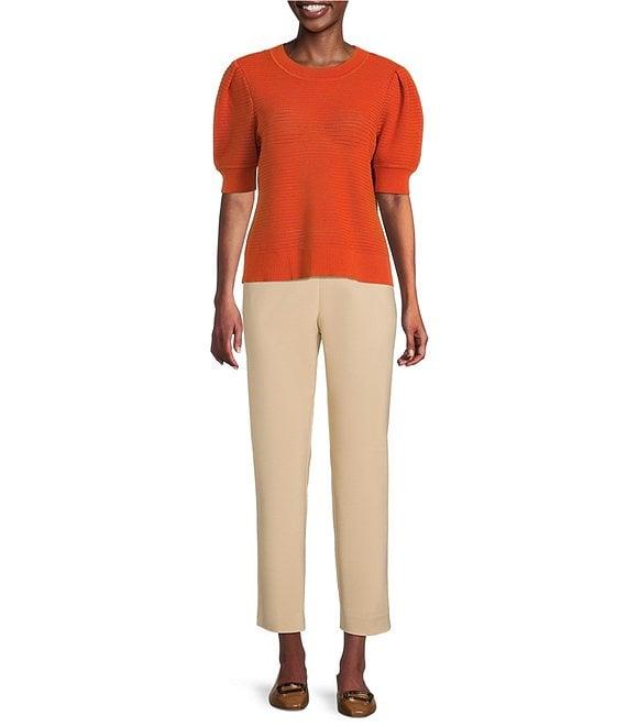 Investments Petite Size Novelty Short Sleeve Crew Neck Sweater Top Product Image