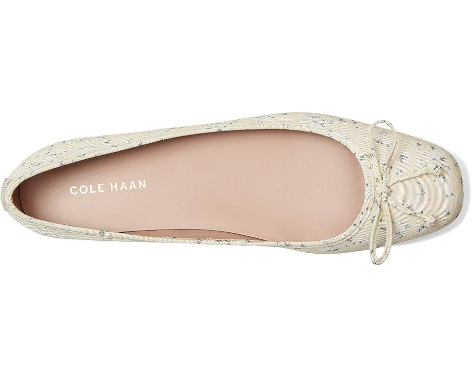 Georgie Ballet Flats Product Image