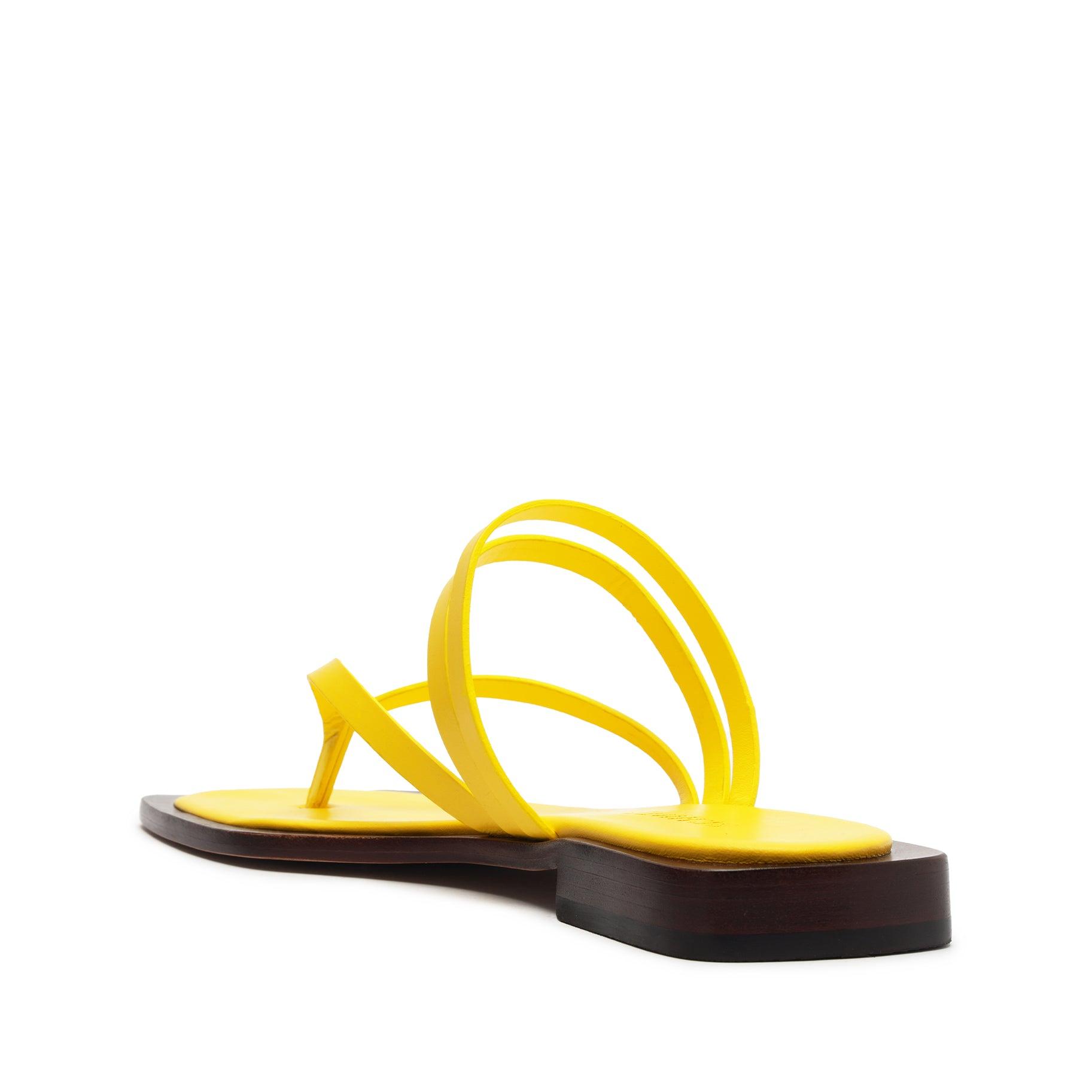 Rania Leather Flat Sandal Female Product Image