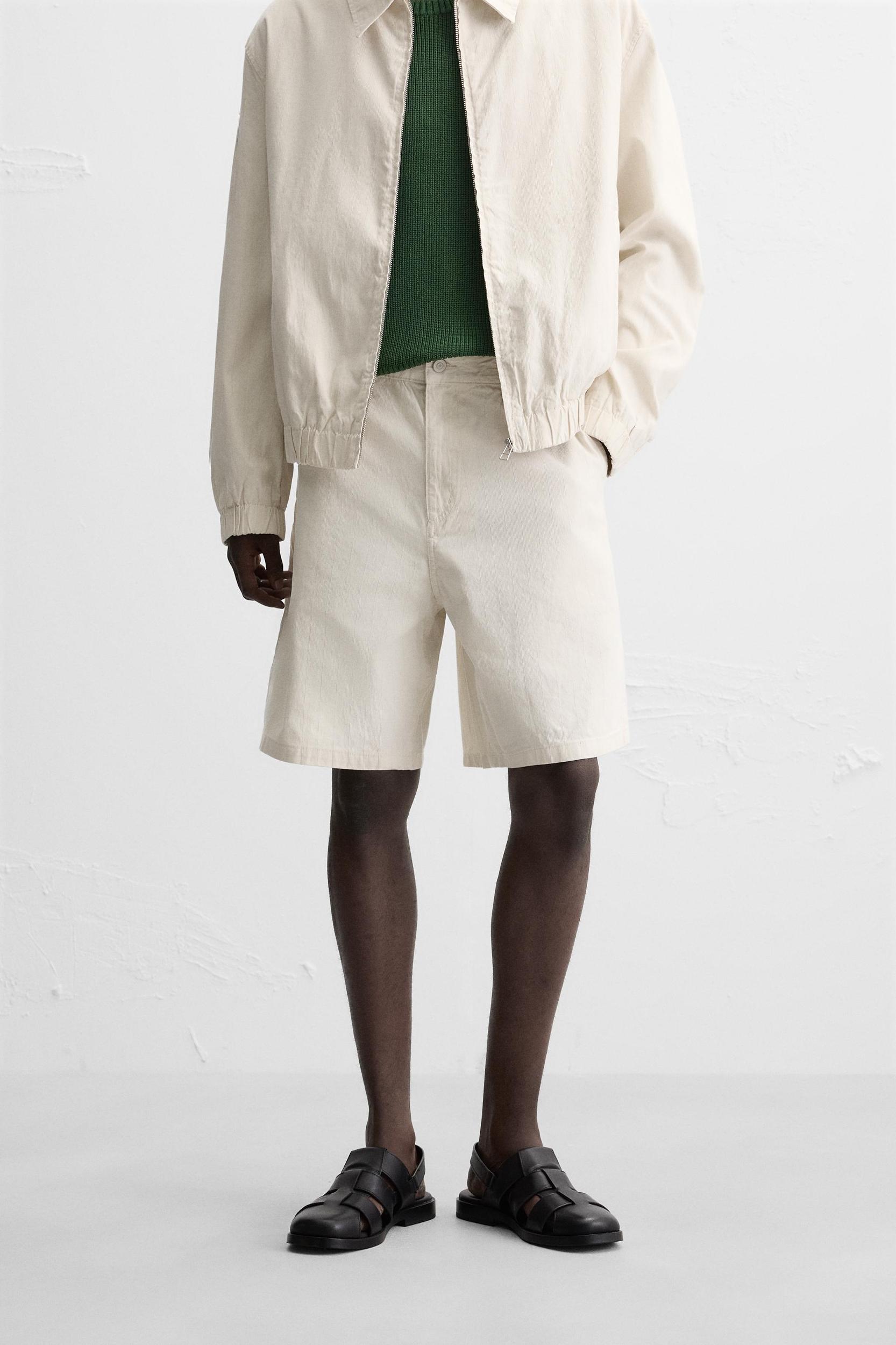 STRIPED REGULAR FIT SHORTS Product Image