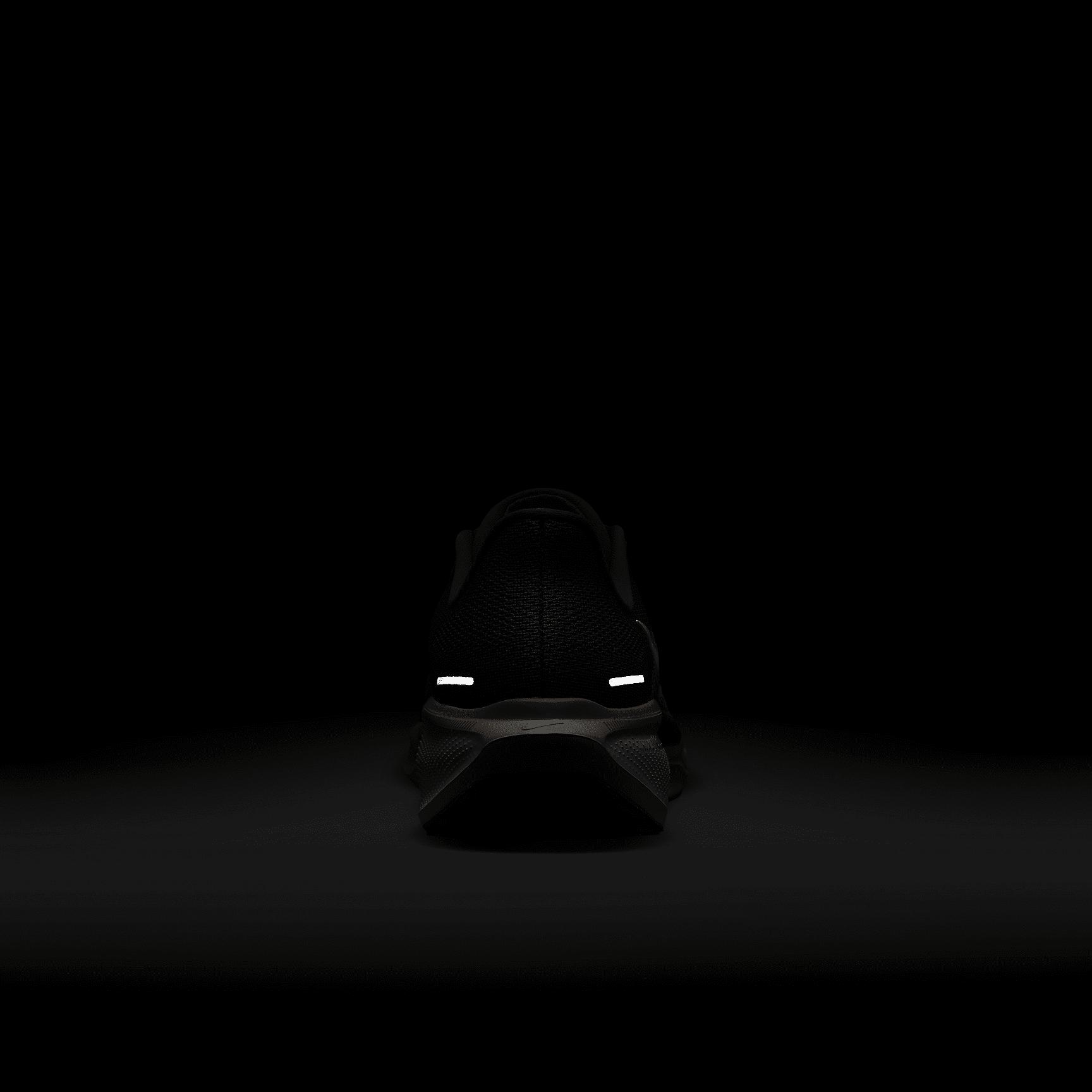 FAMU Pegasus 41 Men's Nike College Road Running Shoes Product Image