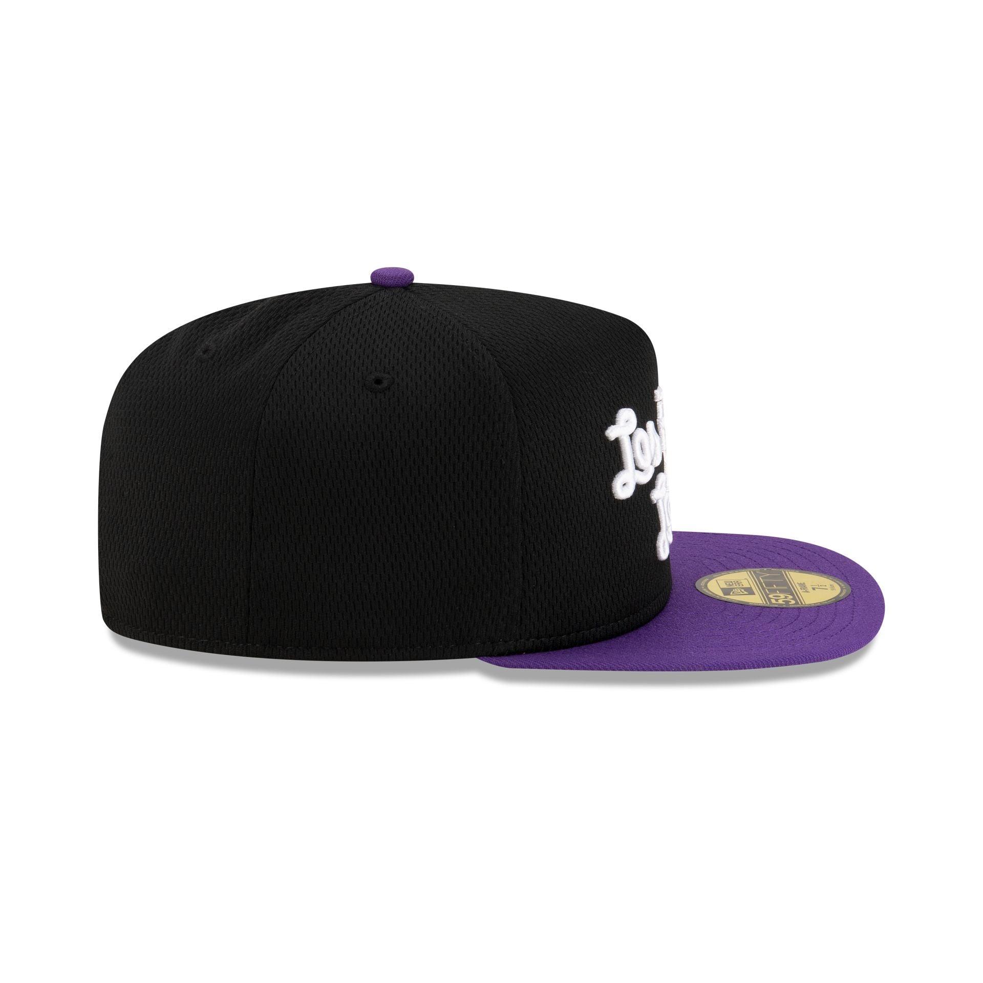 Los Angeles Lakers Dashmark Mesh 59FIFTY A-Frame Fitted Hat Male Product Image