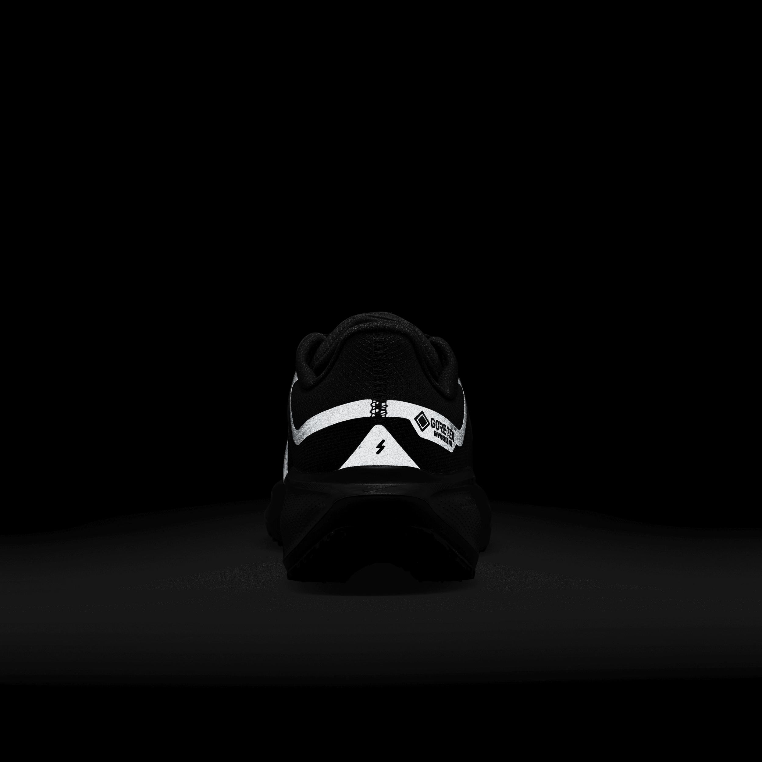 Nike Womens Pegasus 41 GORE-TEX Waterproof Road Running Shoes | FQ1357-001 Product Image