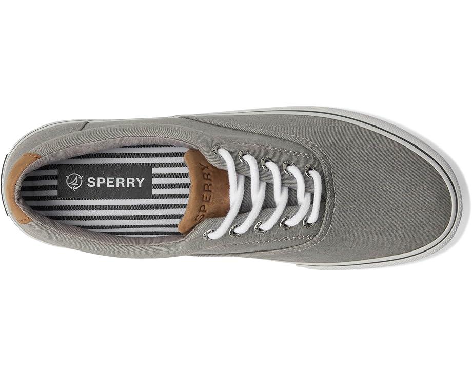 CVO Canvas Product Image