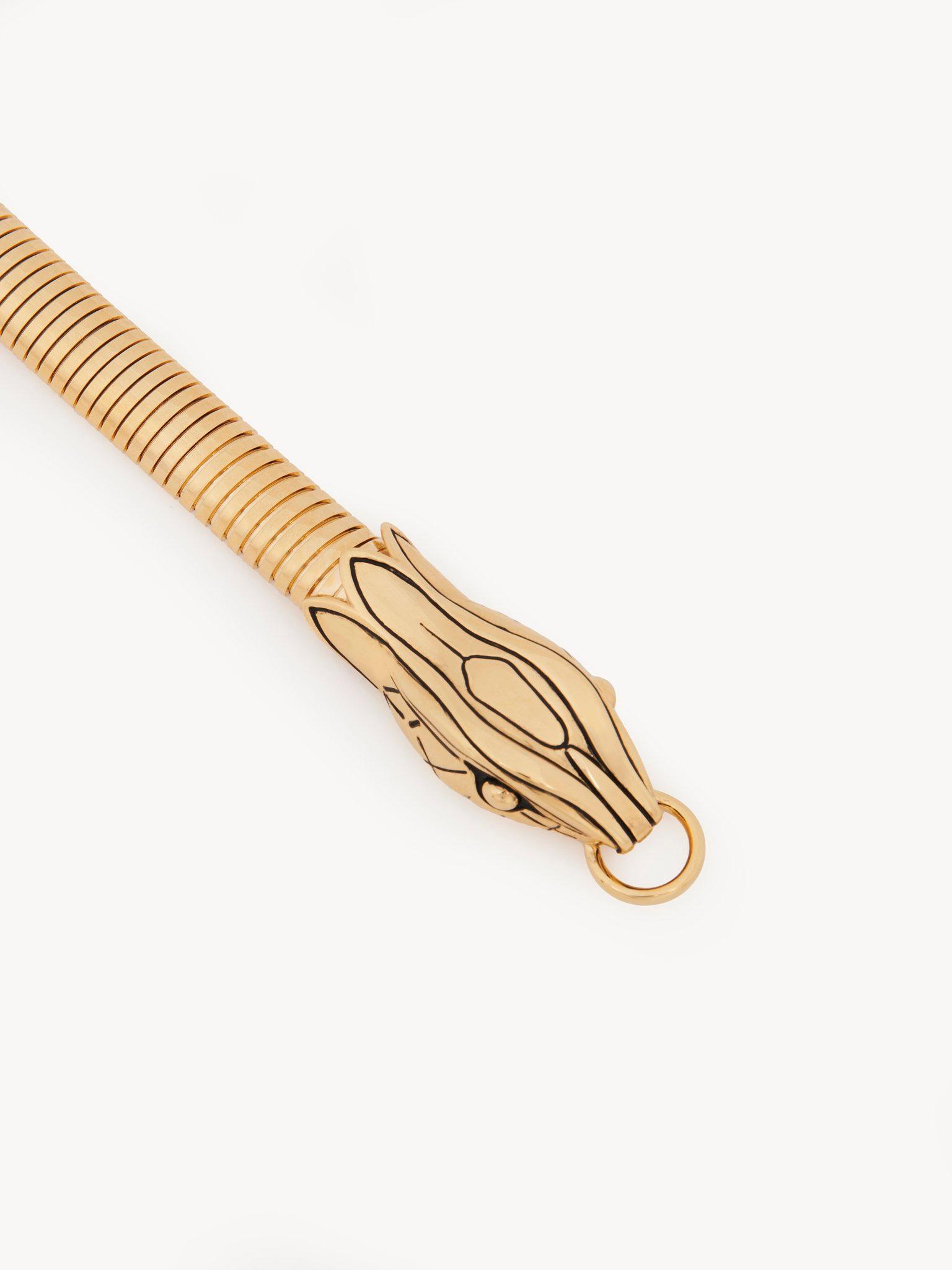 The Chloé Snake belt Product Image