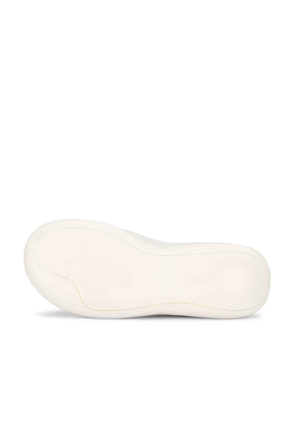 Sportswear Low Ground Sneakers Product Image