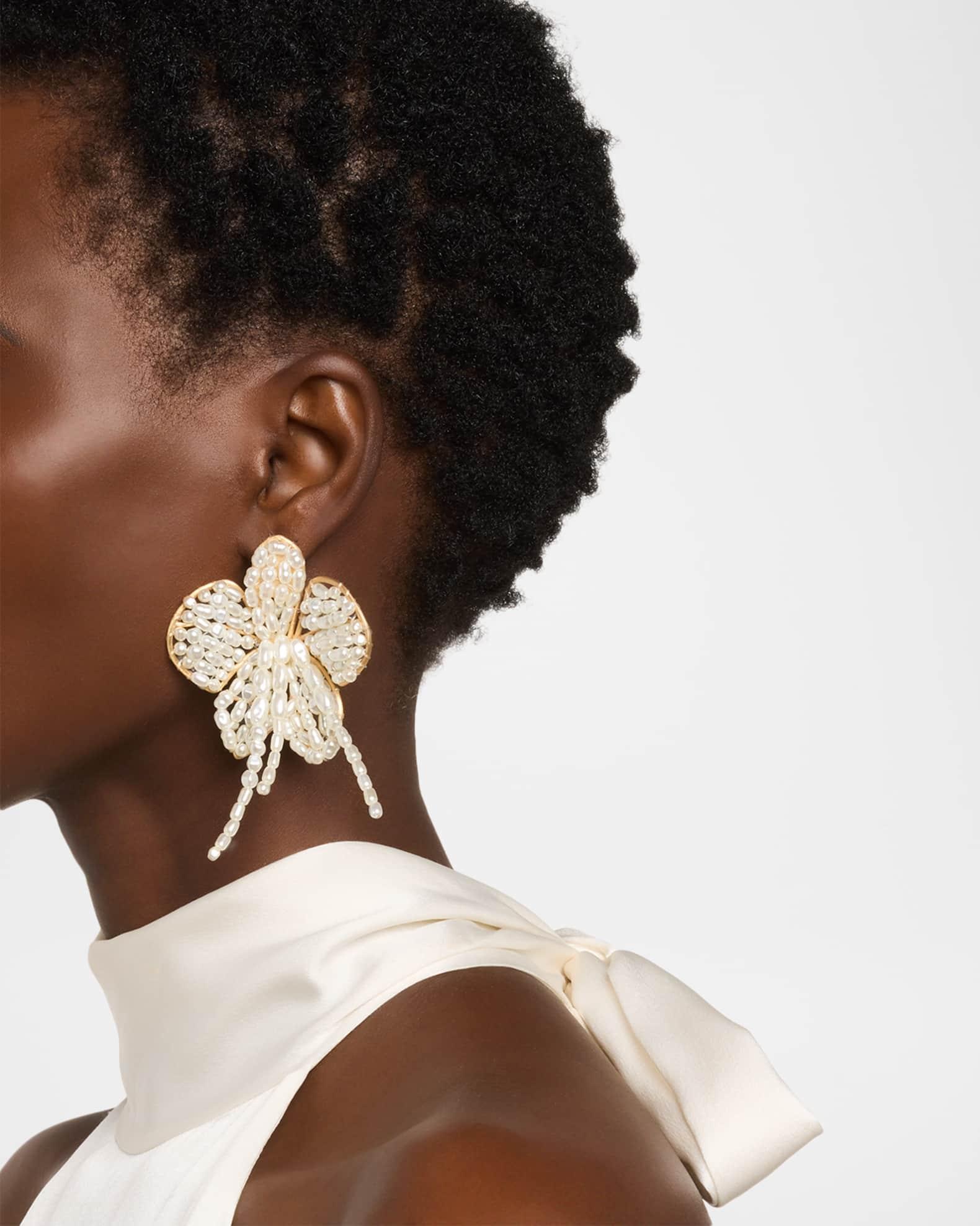 Amina Earrings Product Image