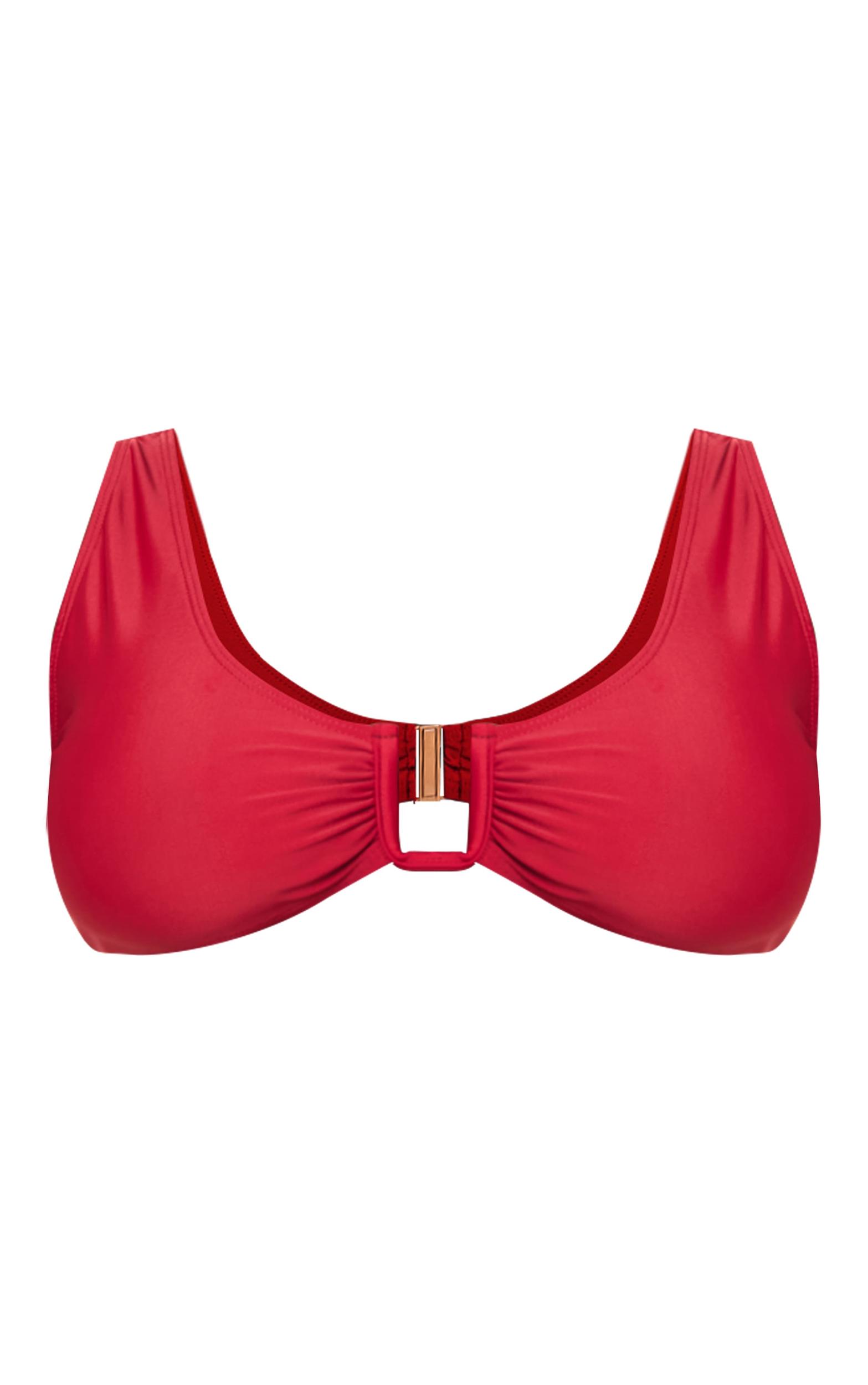 Plus Burgundy Plunge U Bar Bikini Top Product Image