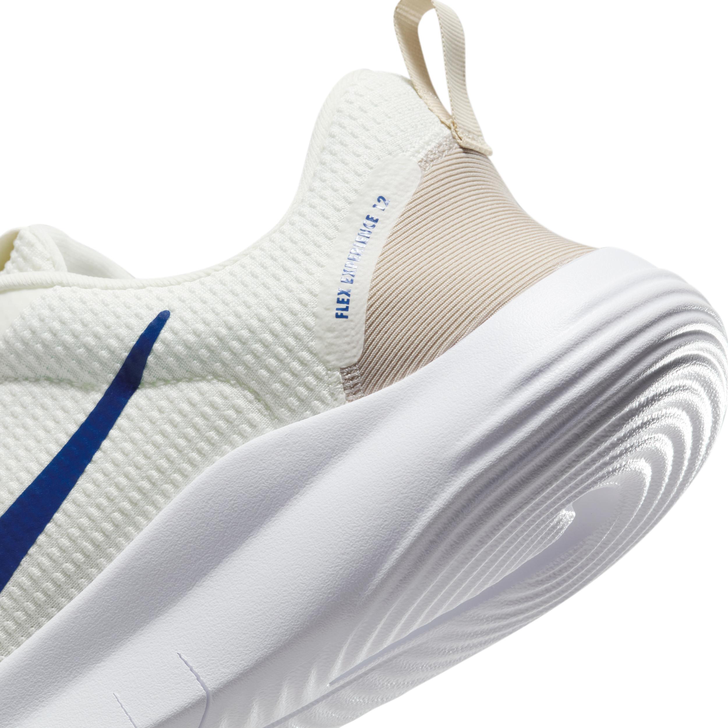 Nike Mens Flex Experience Run 12 Road Running Shoes | DV0740-103 Product Image