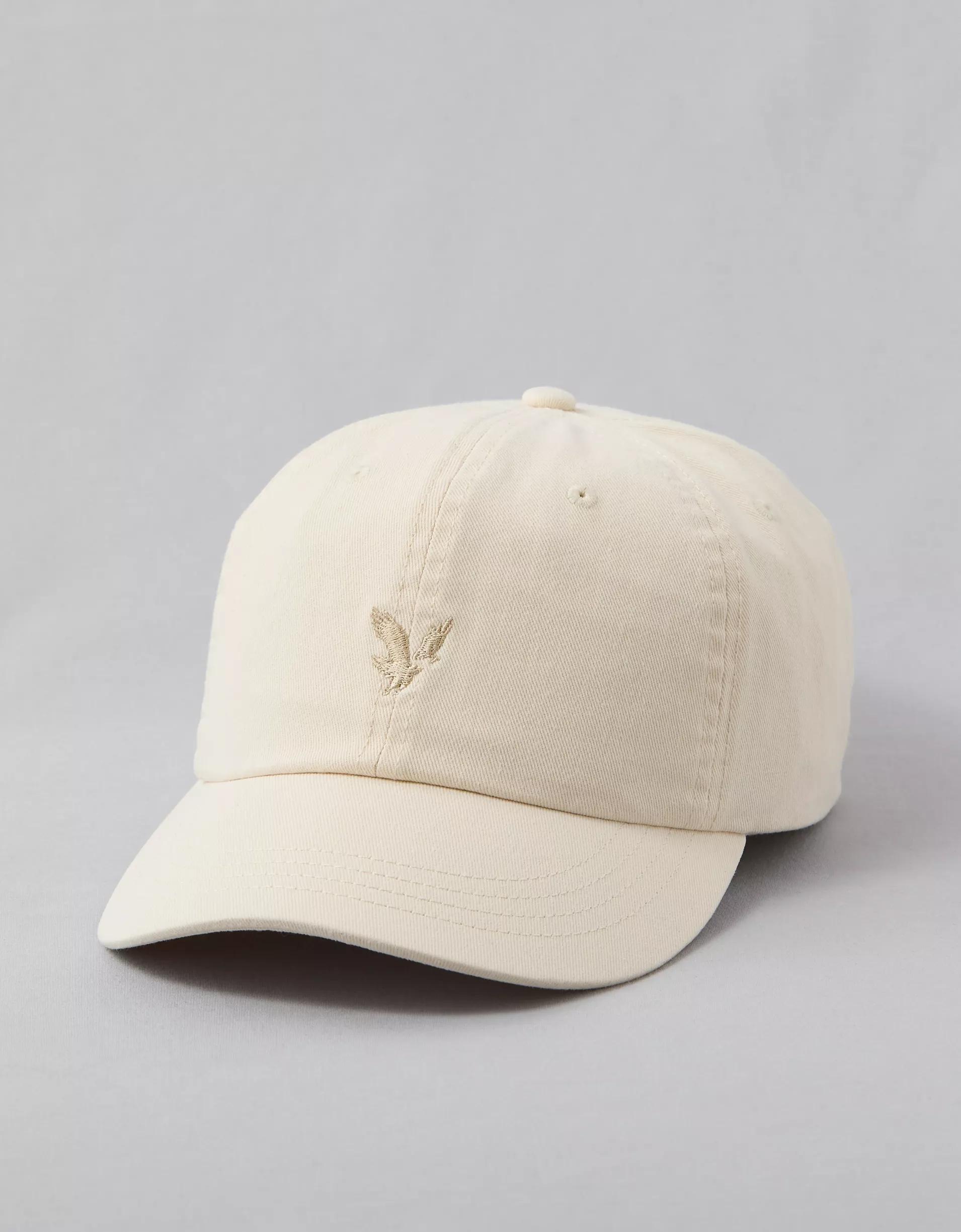 AE Logo Baseball Hat Product Image