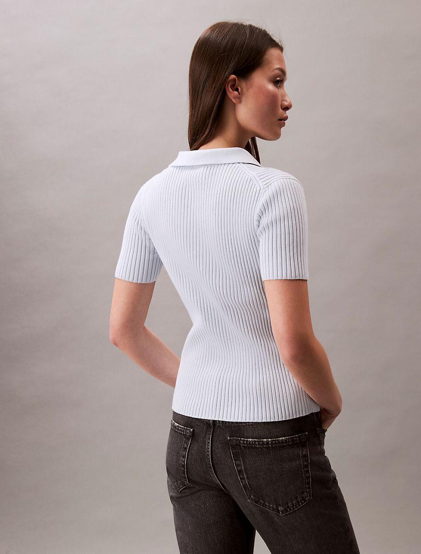 Smooth Cotton Rib Stripe Polo Shirt Product Image