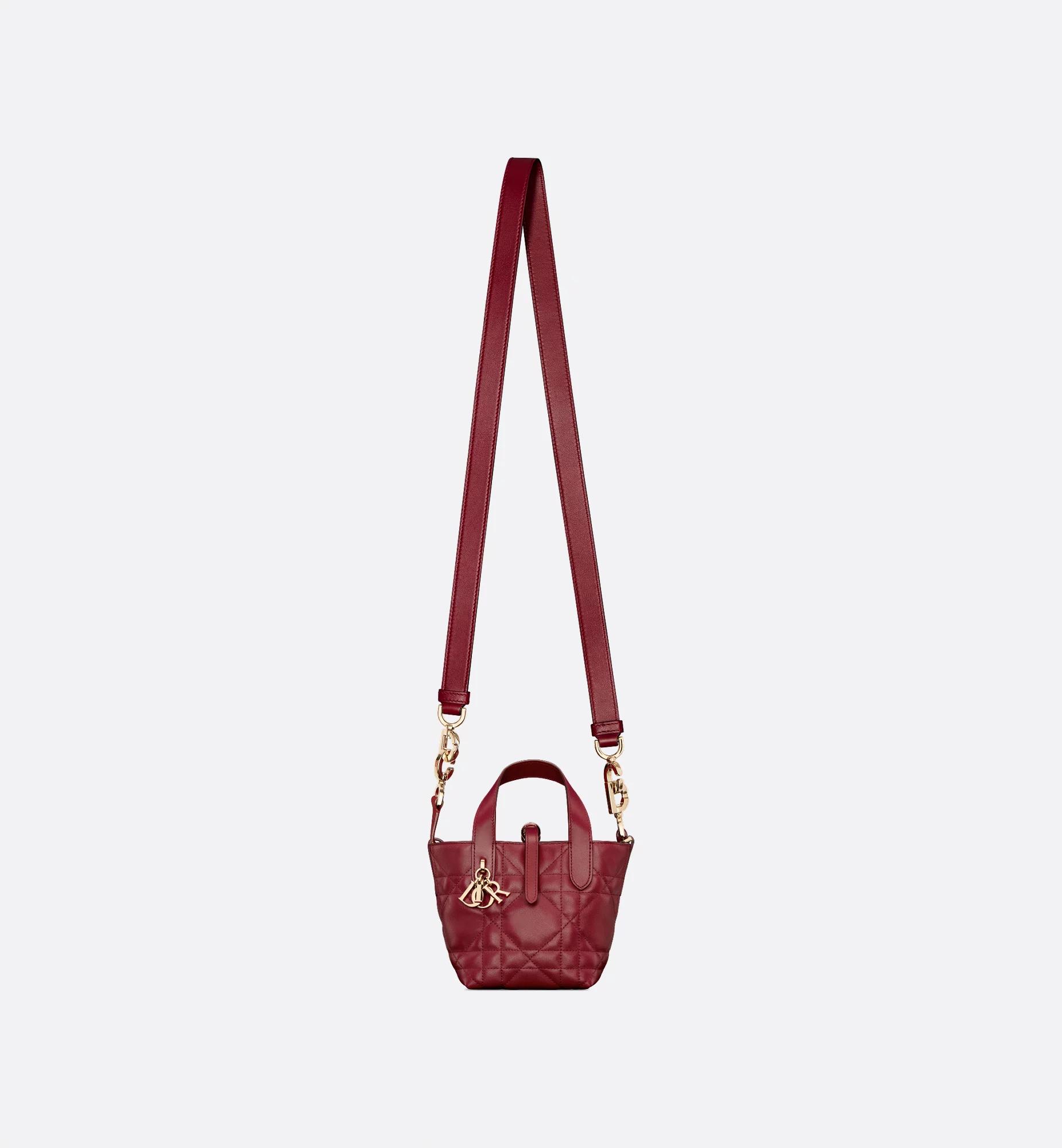 Dior Toujours Vertical Nano Tote Bag Product Image