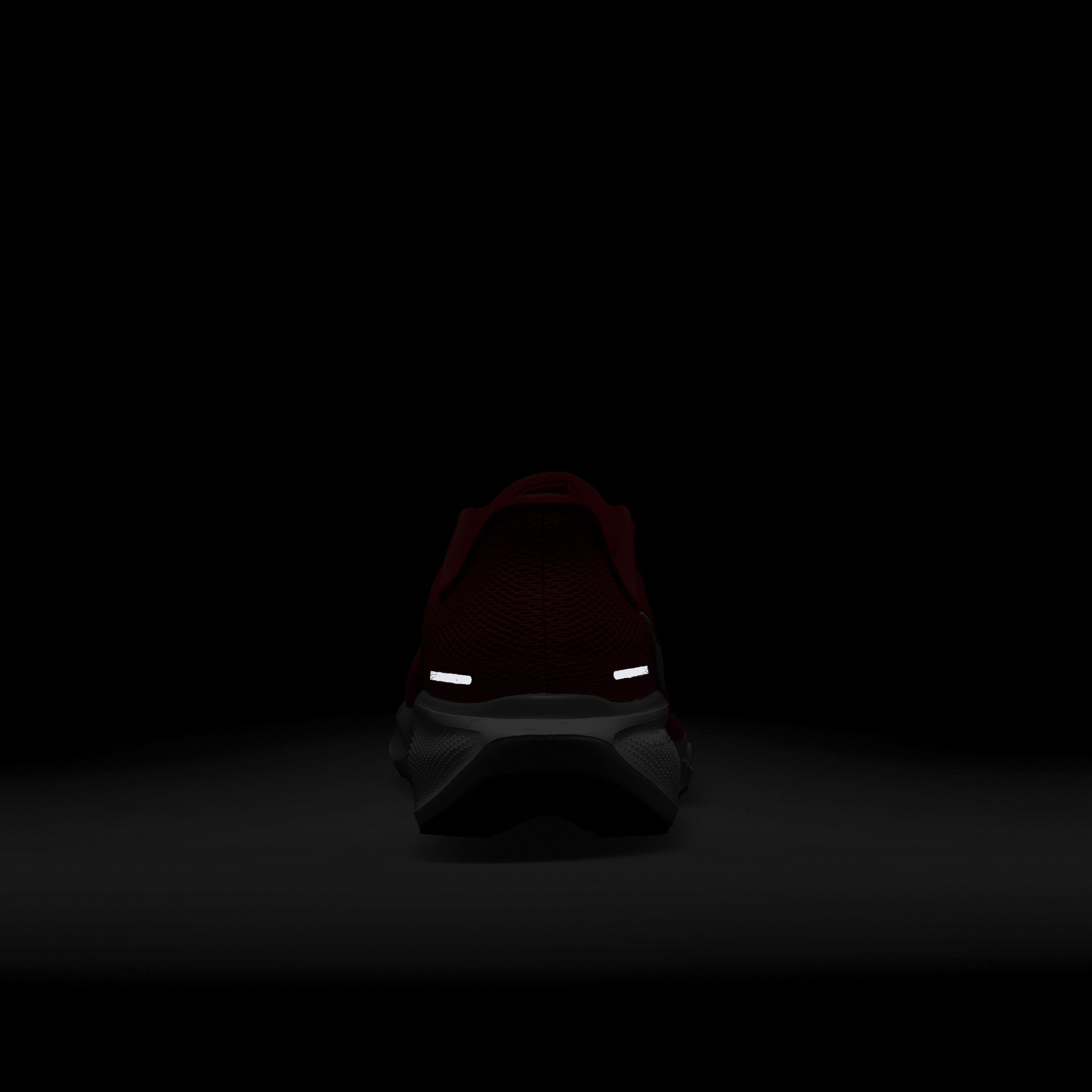 Ohio State Pegasus 41 Nike Men's College Road Running Shoes Product Image