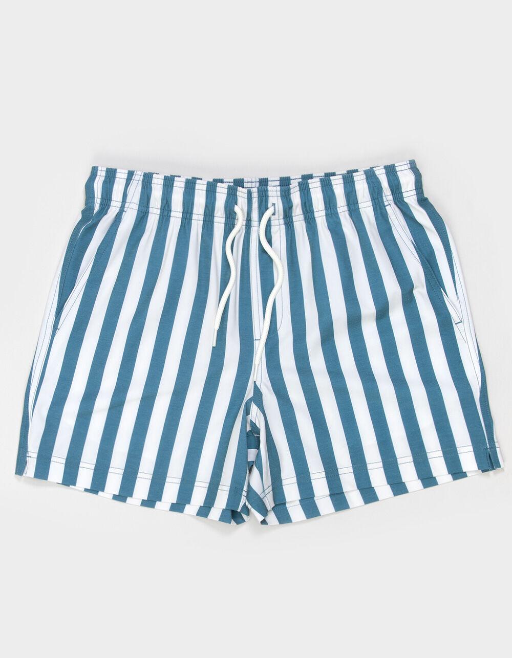 RSQ Mens Bold Stripe Swim Shorts - CADET Product Image