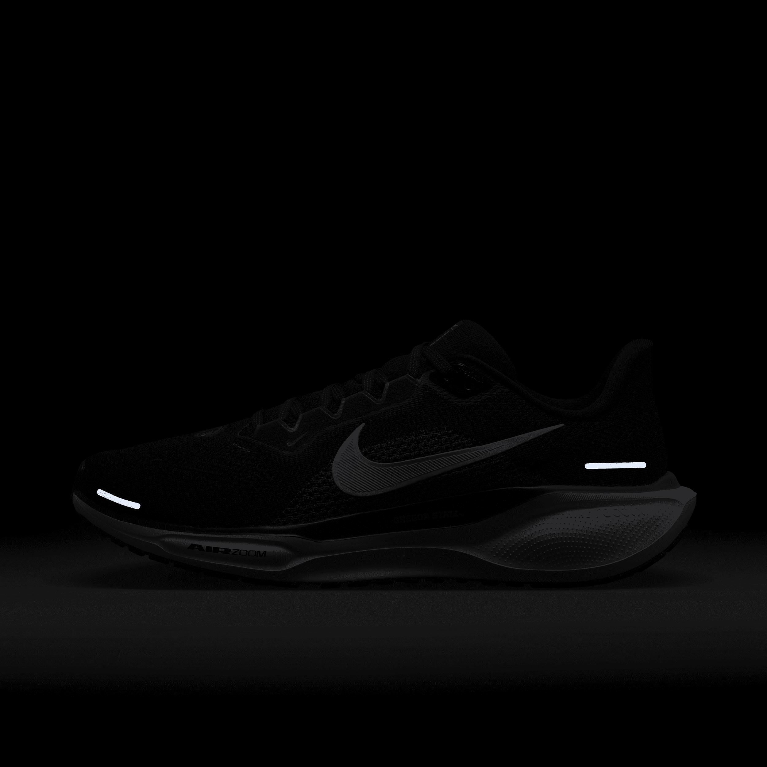 Nike Pegasus 41 NFL Chicago Bears Men's Road Running Shoes Product Image