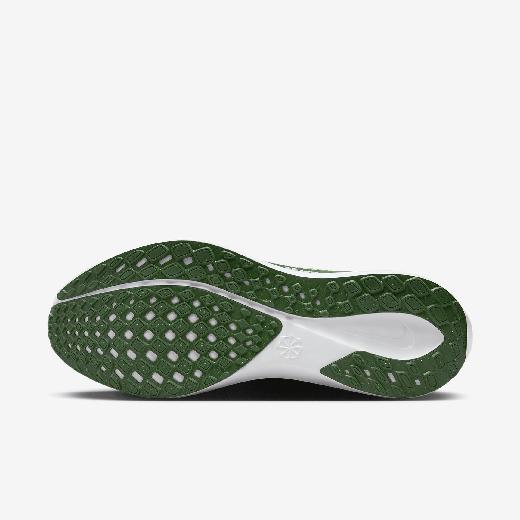 FAMU Pegasus 41 Men's Nike College Road Running Shoes Product Image