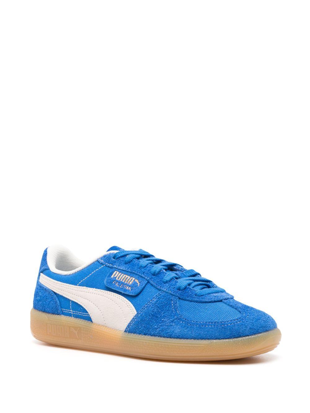 Palermo low-top sneakers Product Image