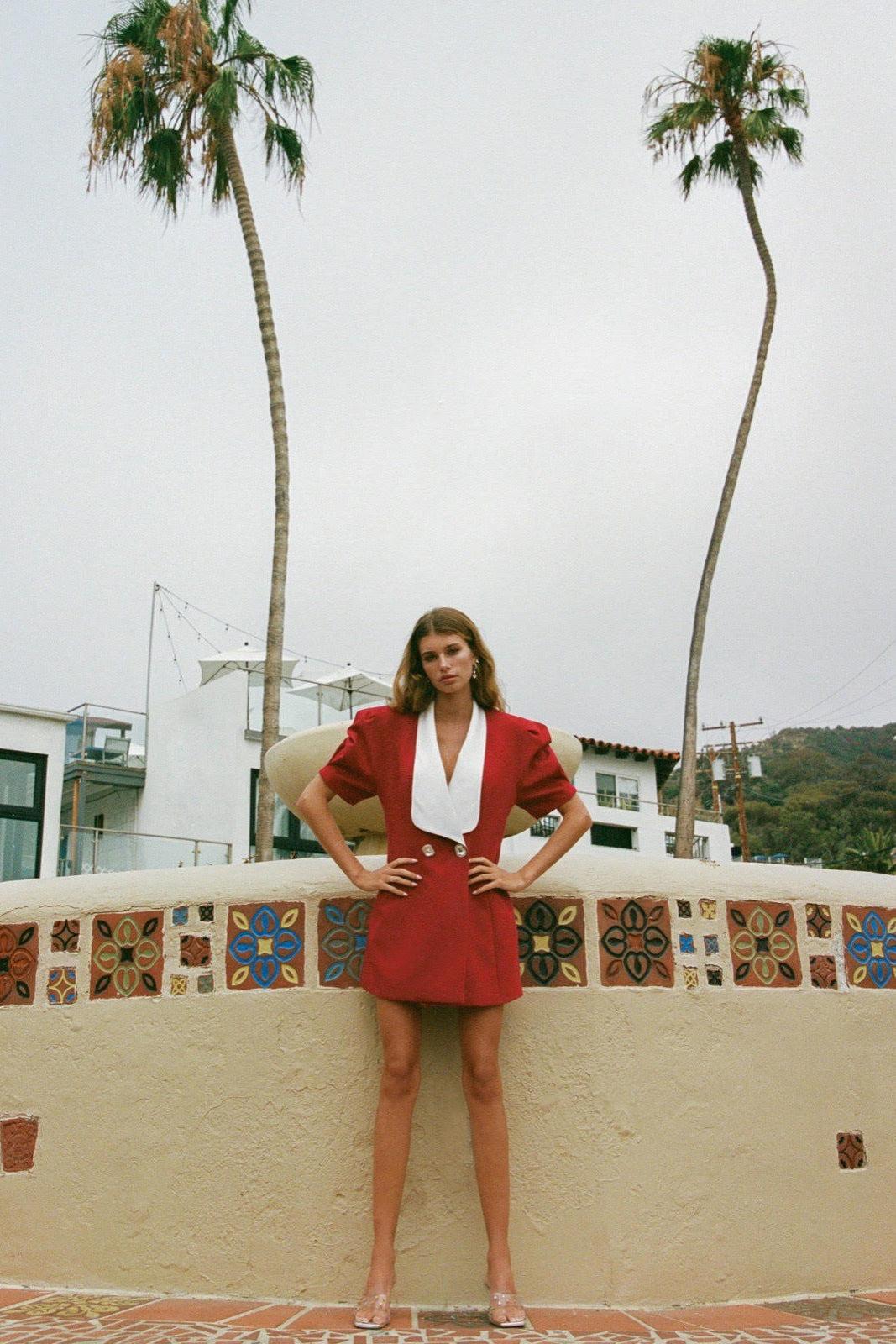 Alia Dress (Red) (Final Sale) Product Image
