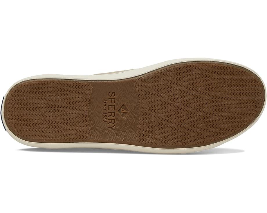 CVO Canvas Product Image