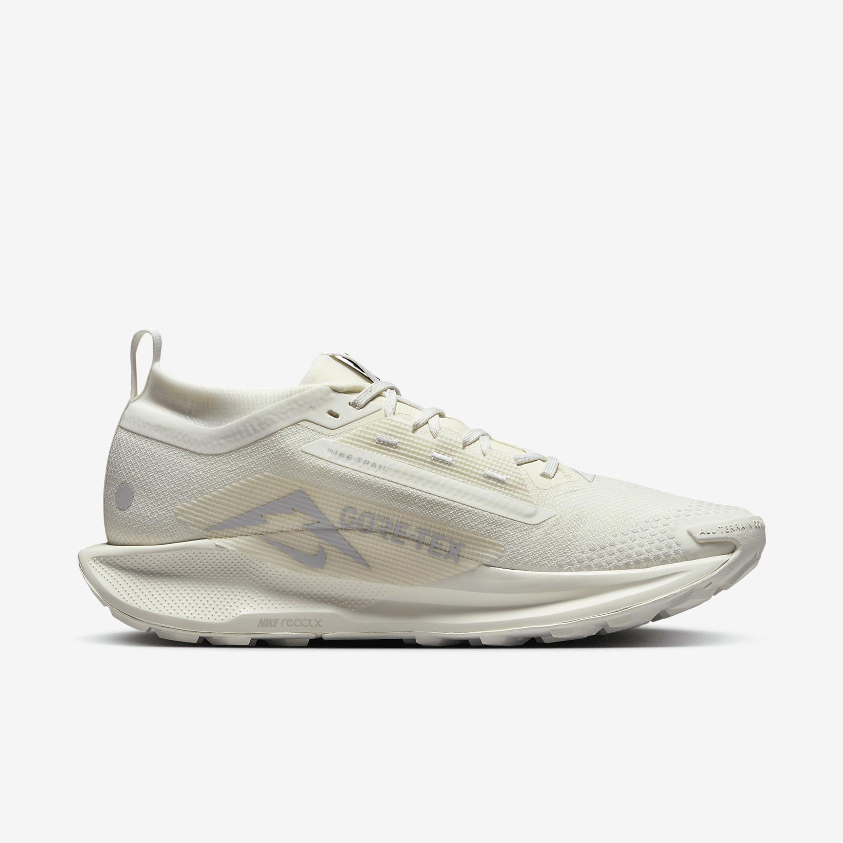 Nike Mens Pegasus Trail 5 GORE-TEX Waterproof Trail Running Shoes | FQ0908-101 Product Image