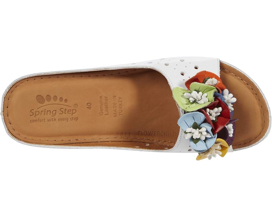 Spring Step Product Image