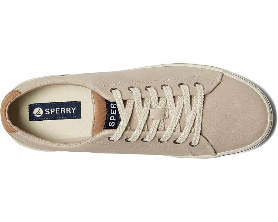 CVO Canvas Product Image