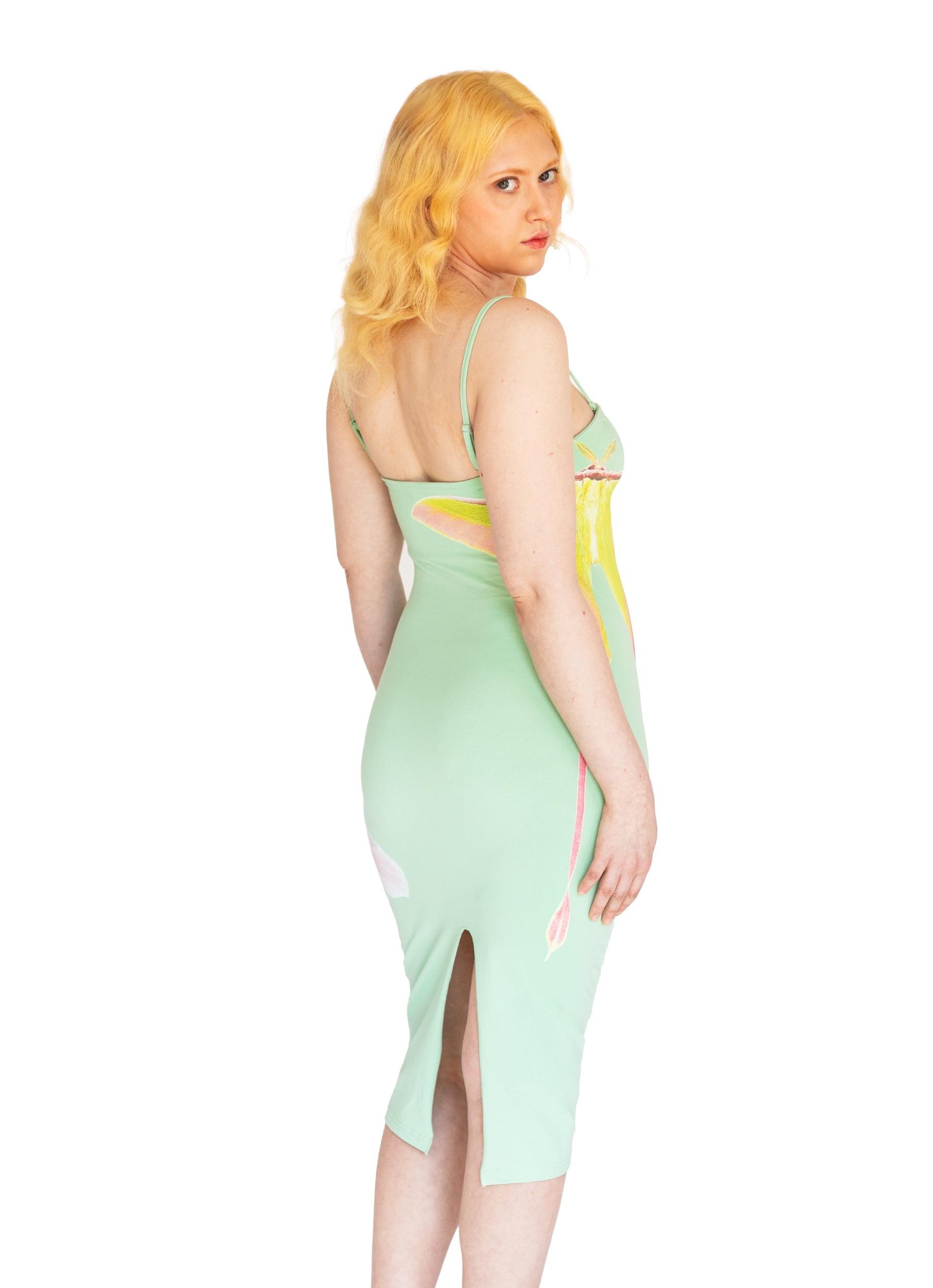 Luna Lily Dress Product Image