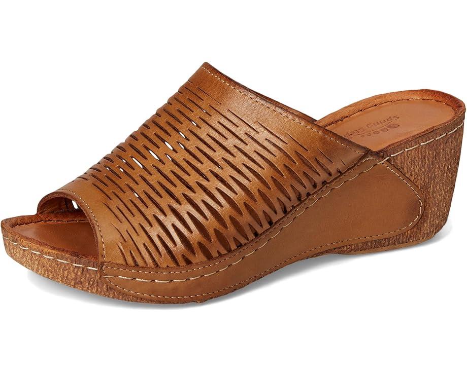 Women's Spring Step Cunacena Product Image