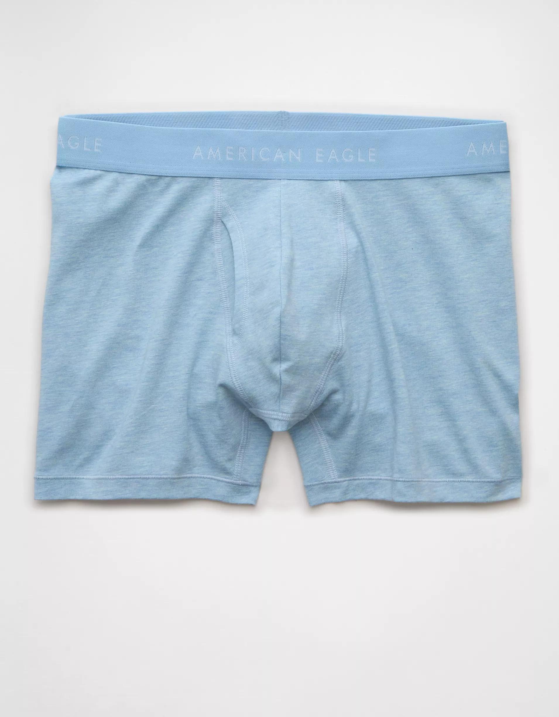 AEO Men's 4.5" Classic Boxer Brief Product Image