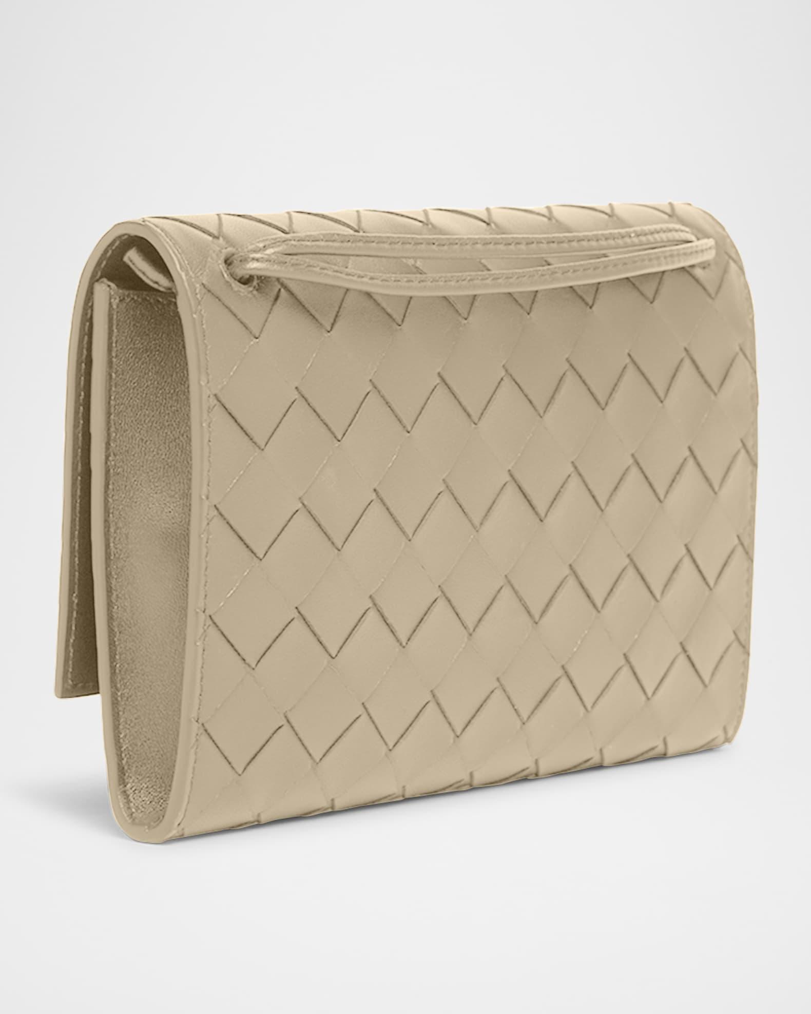 Andiamo Metallic Leather Pouch Bag Product Image