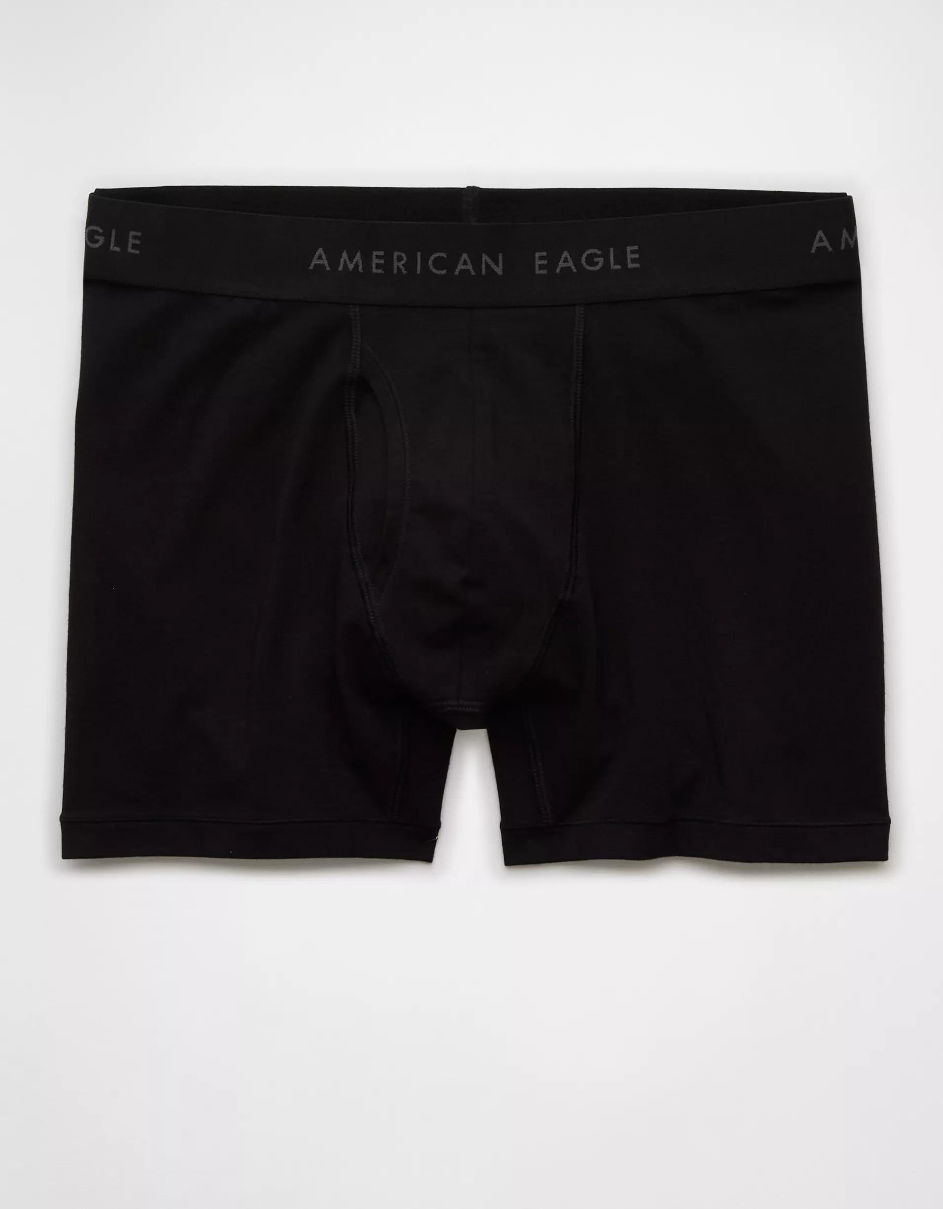 AEO Men's 4.5" Classic Boxer Brief Product Image