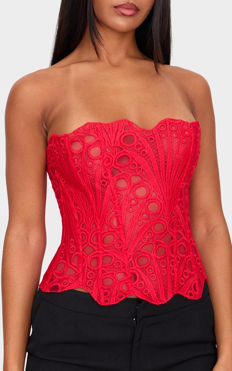 Red Textured Sheer Floral Lace Corset Product Image