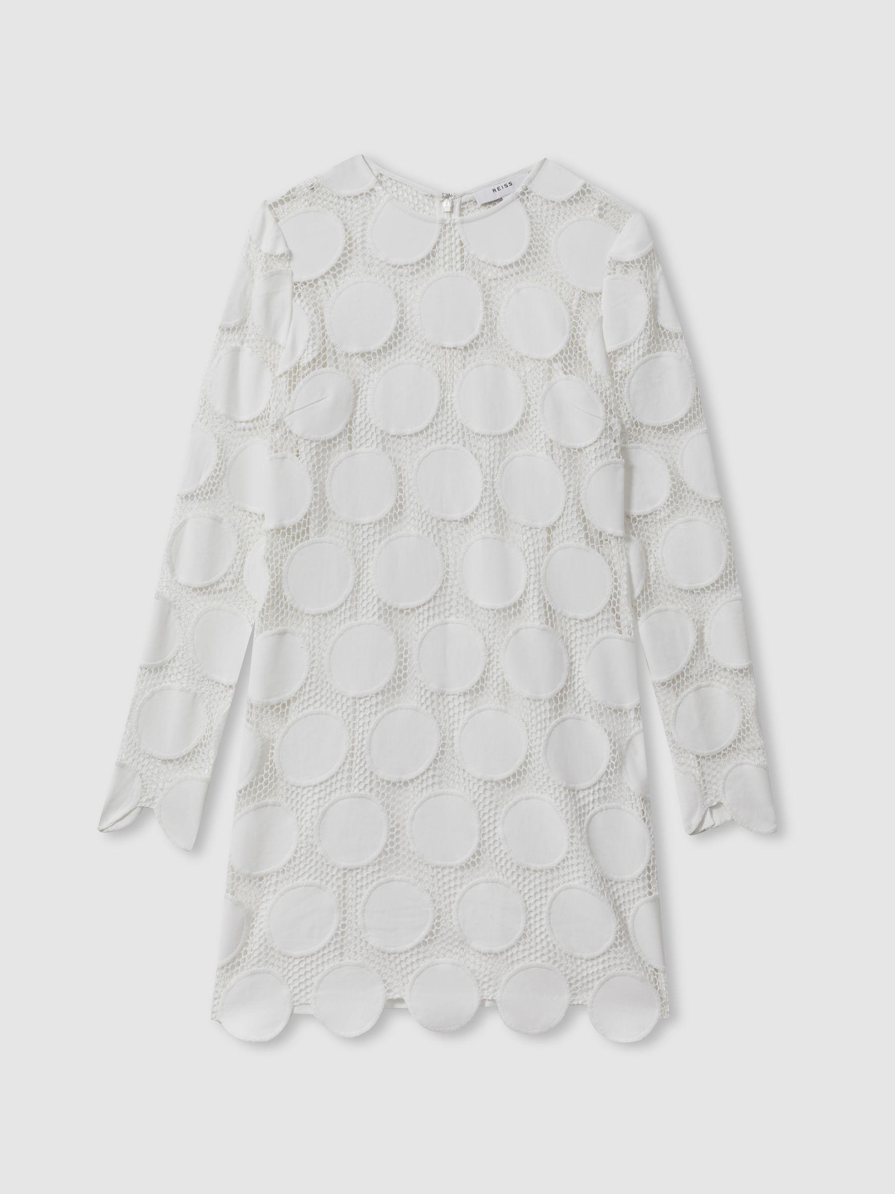 Atelier Sheer Embroidered Mini Dress in Ivory Product Image