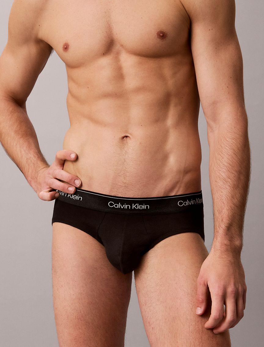 Icon Cotton Stretch Metallic 3-Pack Hip Brief Product Image