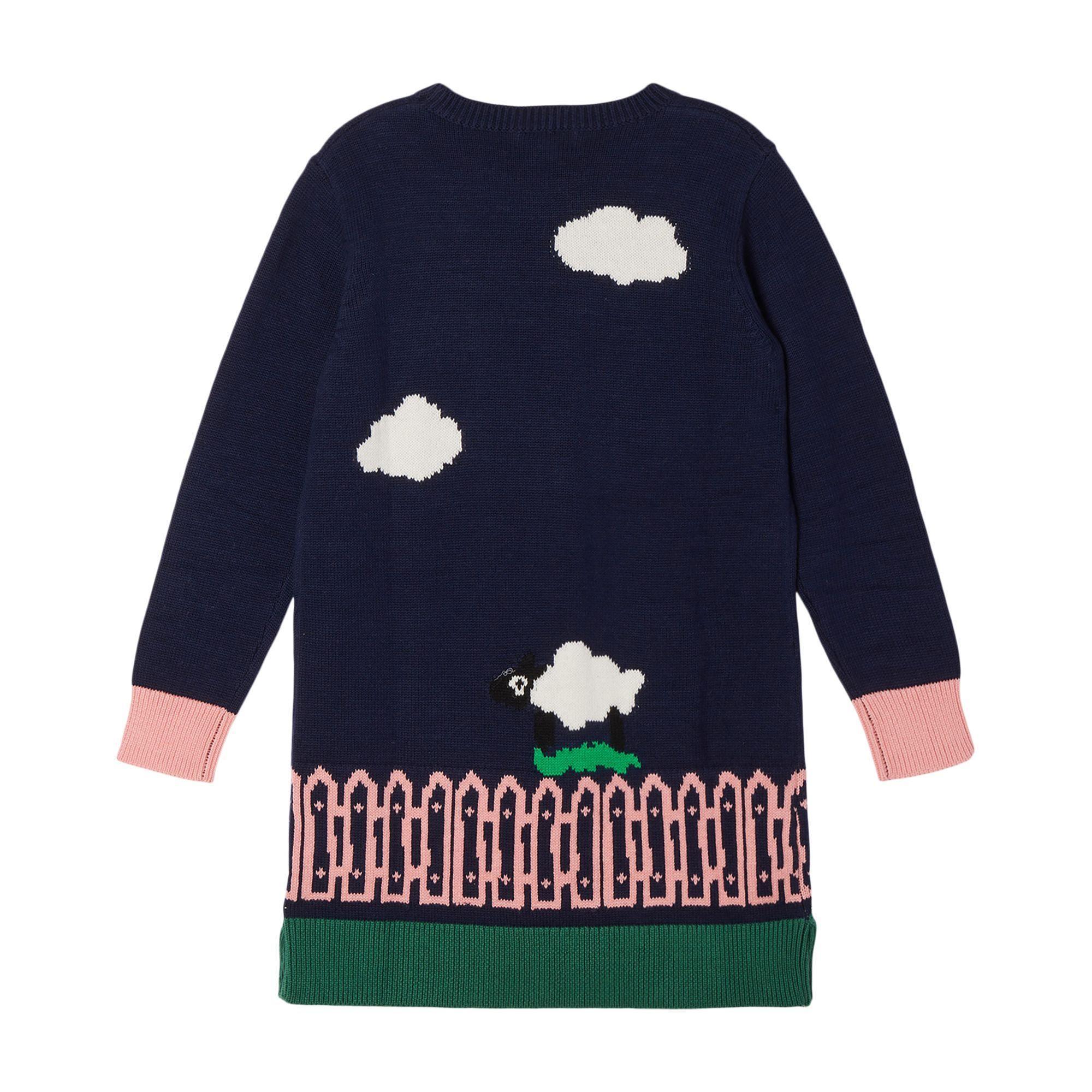 Stella McCartney Printed Sweater Dress Product Image