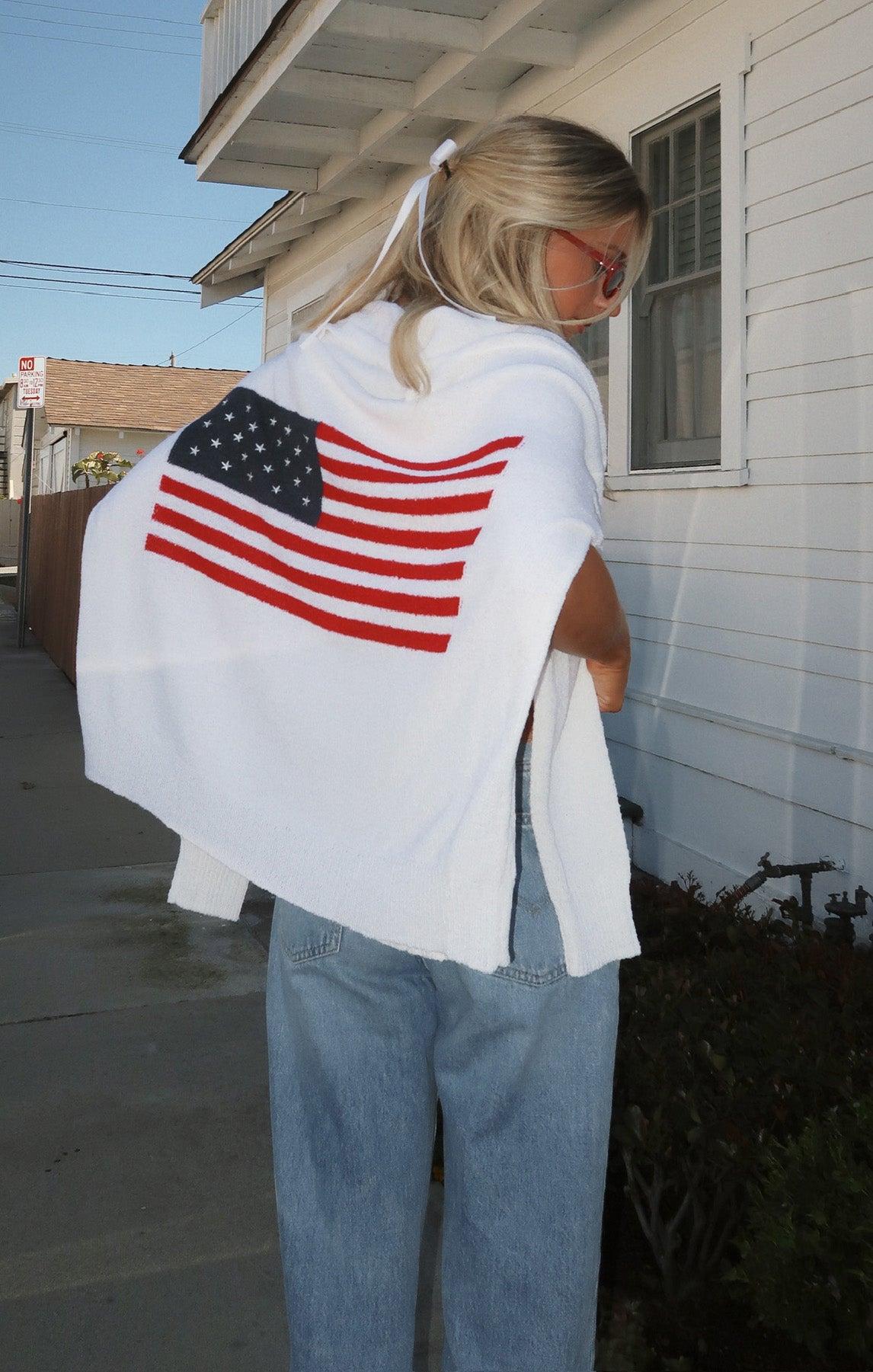 Woodsy Sweater ~ American Flag Knit Product Image