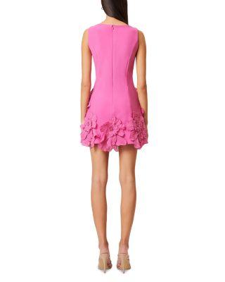Janelle Mini Dress Product Image