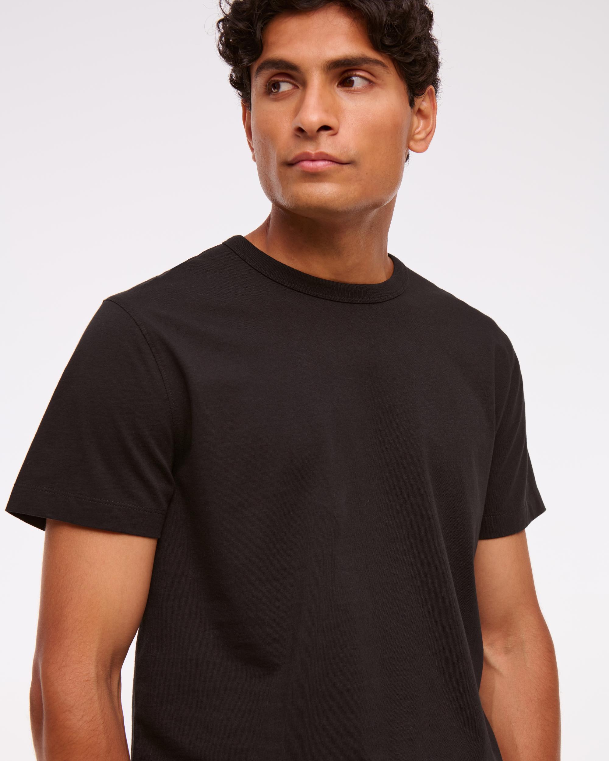 Classic Polished Cropped Tee Product Image