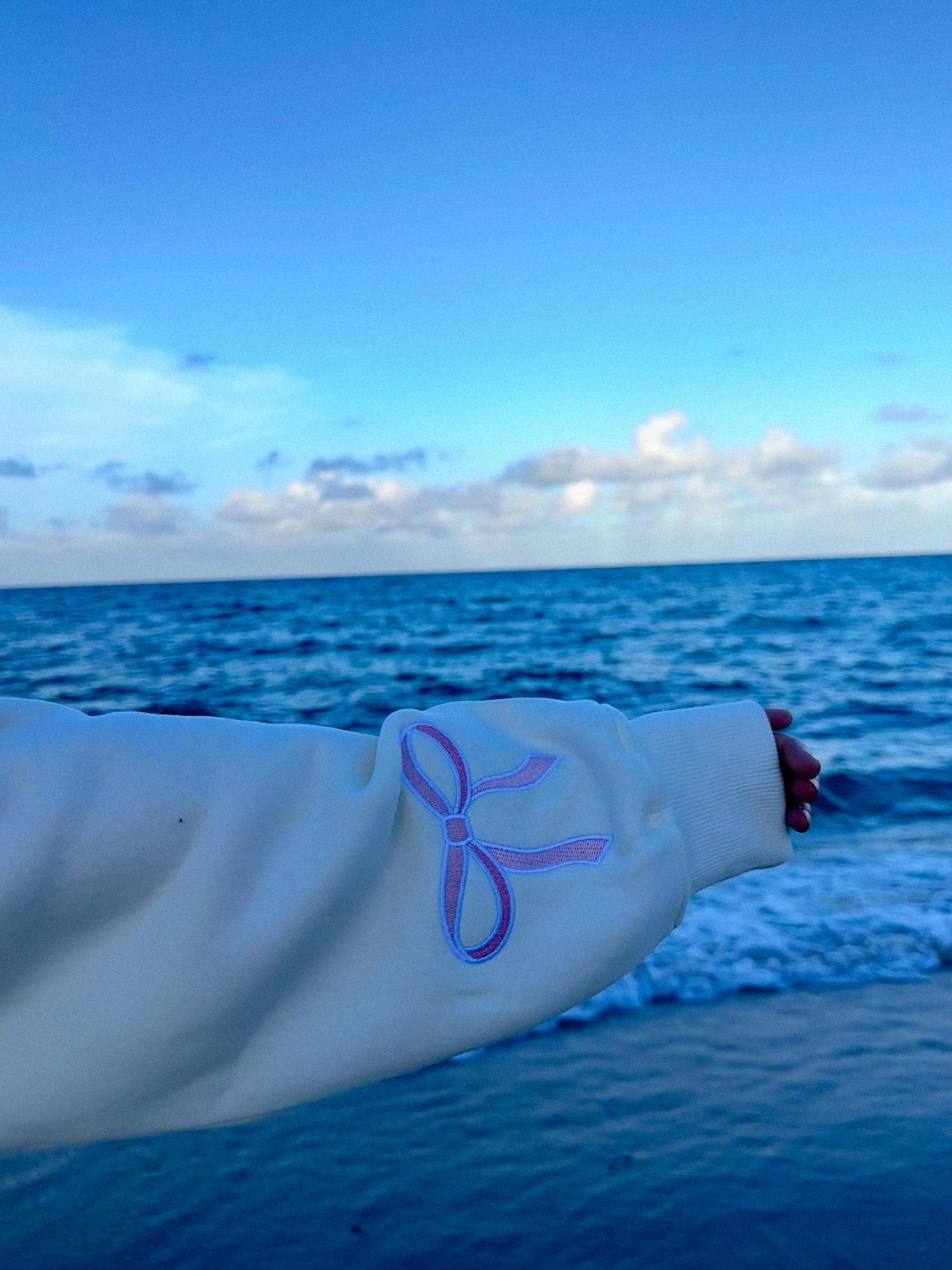 Pink Embroider Bow Sweatshirt Product Image