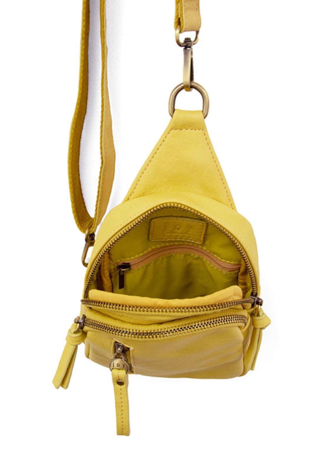 Skyler Sling Bag Product Image