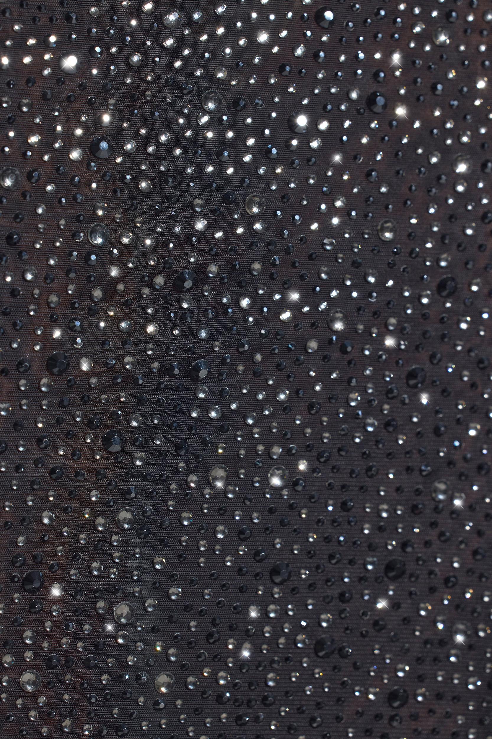 Embellished Long-Sleeve Crop Top in Black Product Image