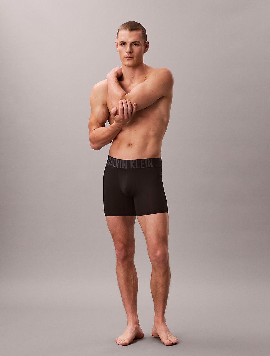 Intense Power Micro 3-Pack Boxer Brief Product Image