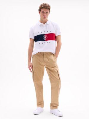 Regular Fit Flag Stripe Polo Product Image