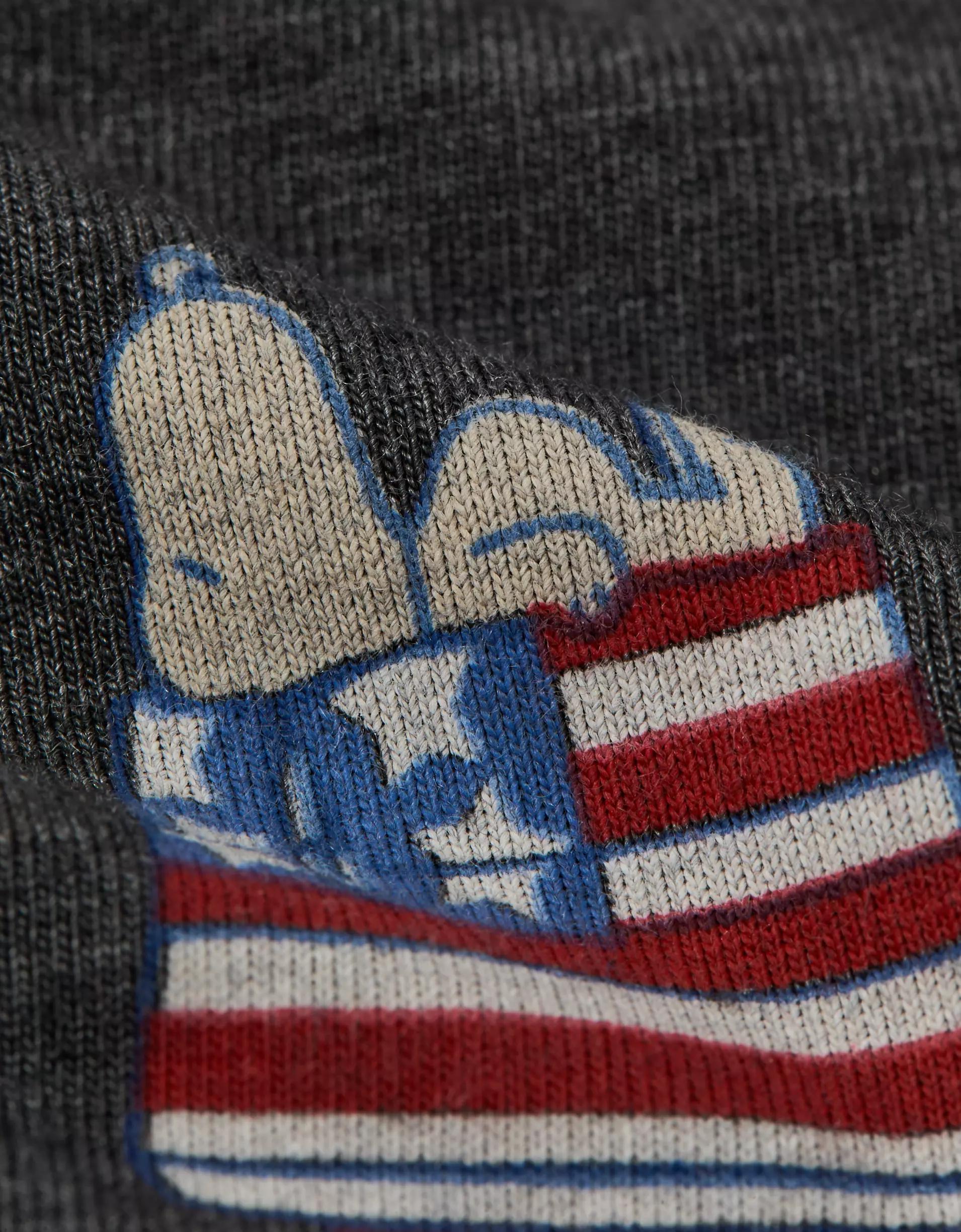 AEO Men's Snoopy USA 6" Classic Boxer Brief Product Image